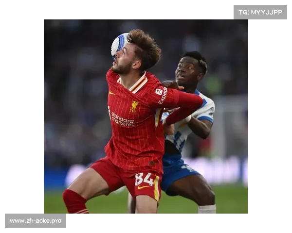 英超竞争日益激烈，南安普顿与布莱顿联袂出击