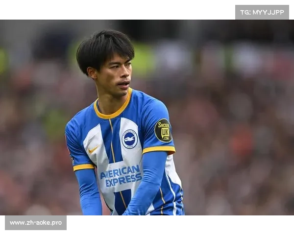 英超赛场的黑马本色，布莱顿的崛起与辉煌